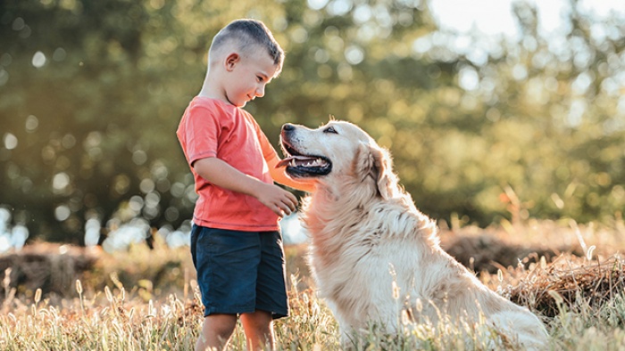 a child pets his dog