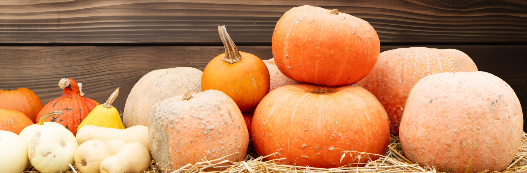Pumpkin Patch & Flea Market.