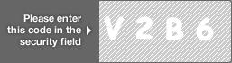 captcha code for visual authentication  letter V number 2 letter B number 6