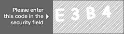 captcha code for visual authentication  letter E number 3 letter B number 4